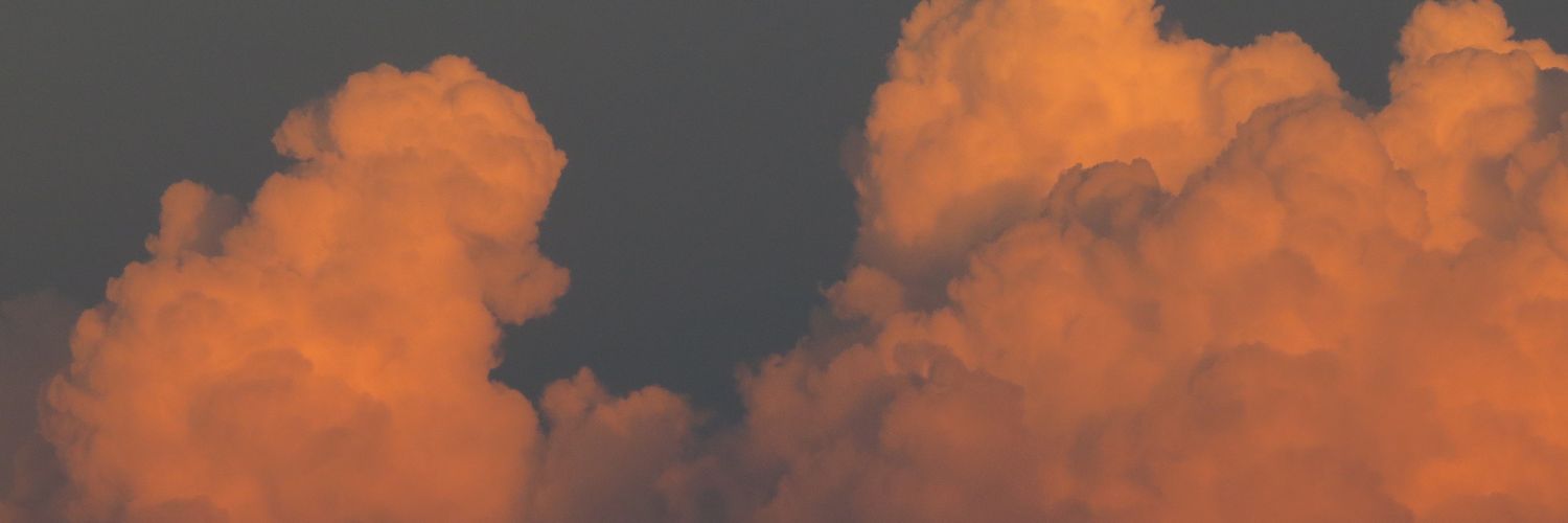 Alexa Machts 🌸✨️ banner
