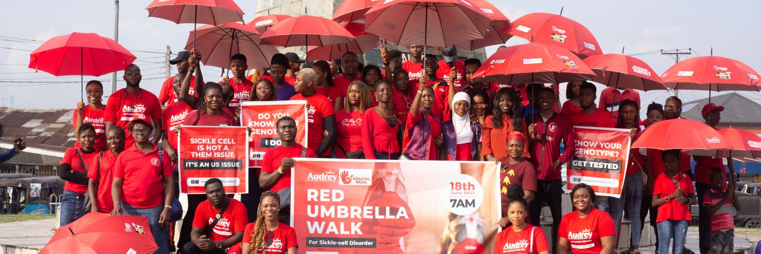 Audreysicklecellfoundation banner