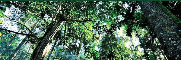 PPECF2012 Profile Banner