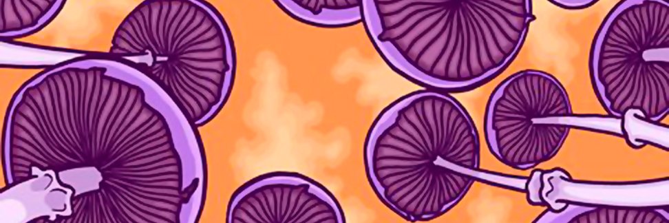 psykedelico's profile banner image