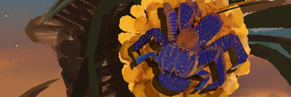 AlpacaOkinawa Profile Banner
