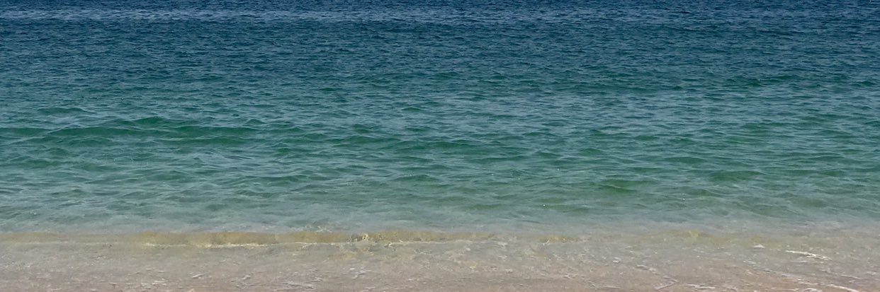 liliahued's profile banner image