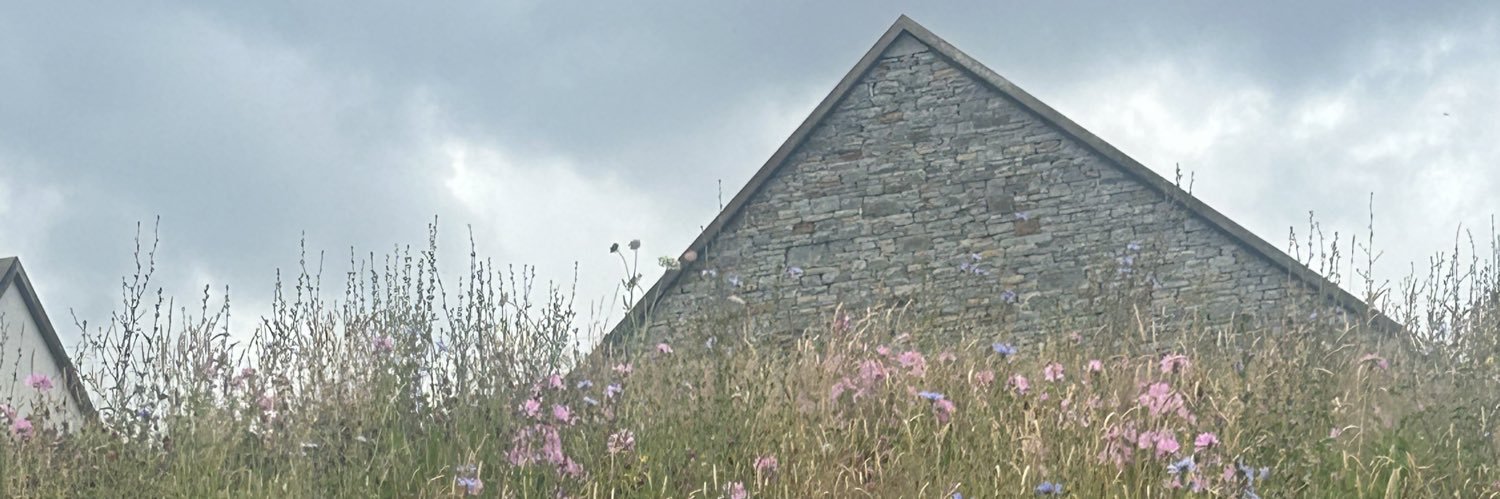 Debbie Murray banner