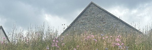 DebbieM81 Profile Banner