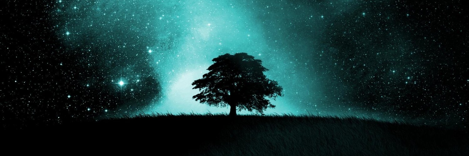 DoviLilling's profile banner image