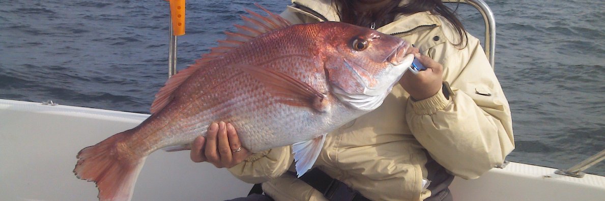 sumomo_fishing's profile banner image