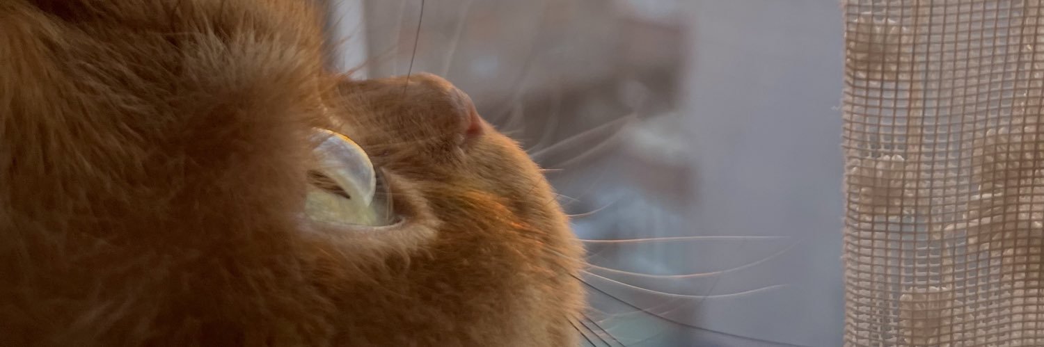 bosverberi's profile banner image