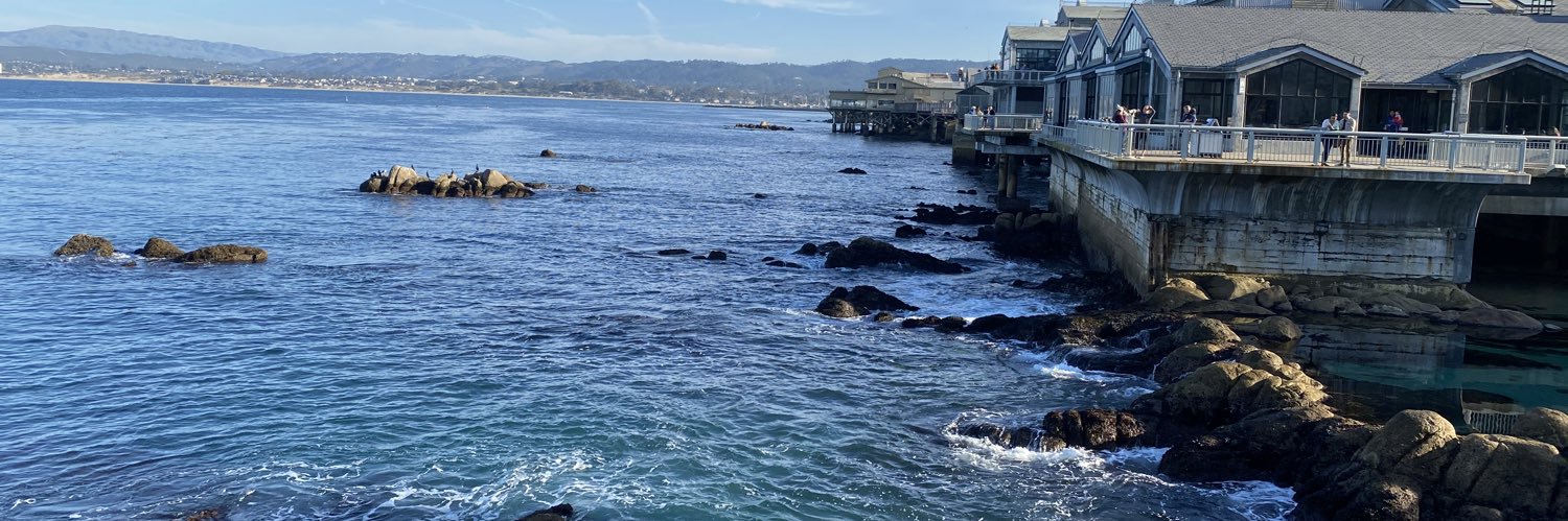 Lisa Victoria banner