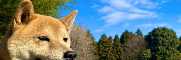 masabose Profile Banner