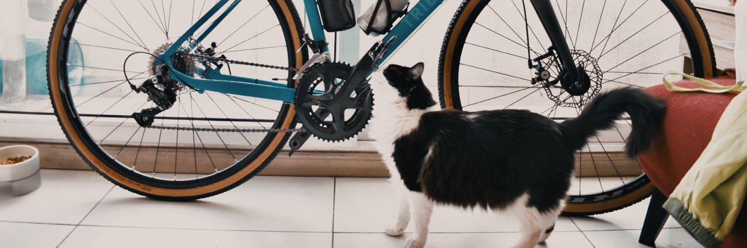 Sebastián Rodríguez banner