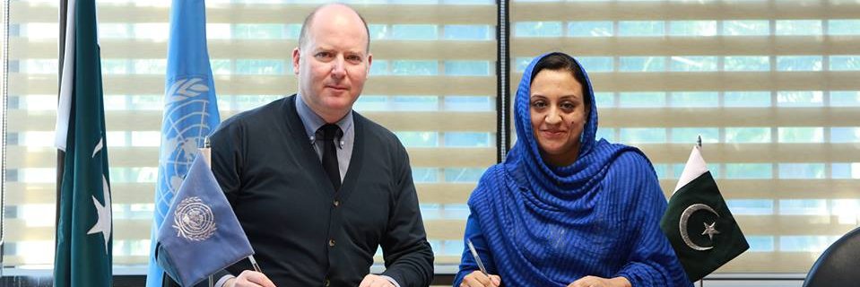 Institute of Peace and Diplomatic Studies banner