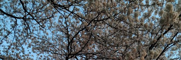 kunyarin4 Profile Banner