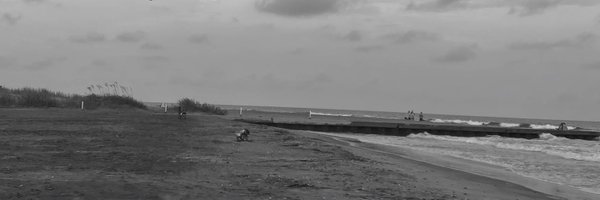 perry_ron Profile Banner