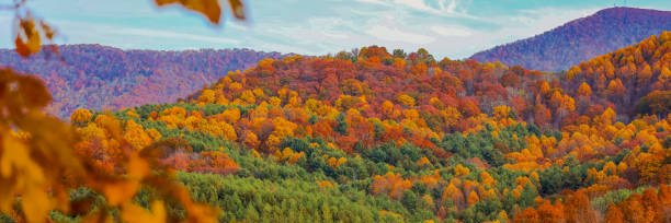 Virginia Office of the State Inspector General banner