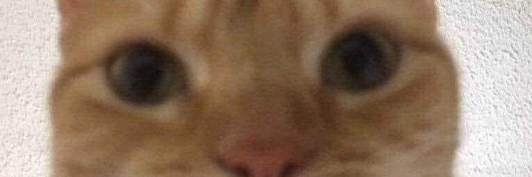 choconuri's profile banner image