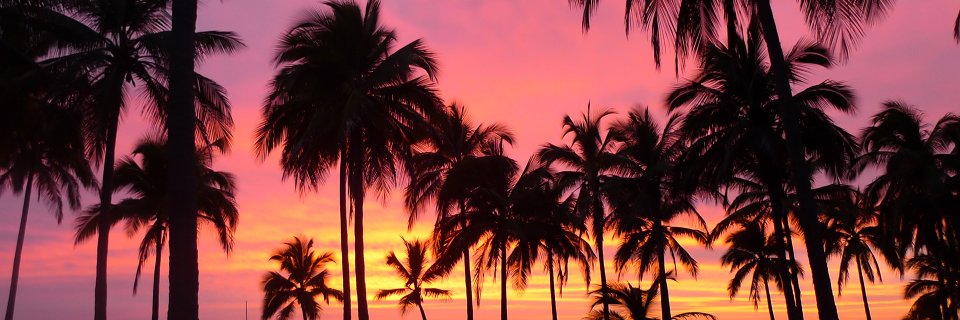 alphaboy_sub's profile banner image