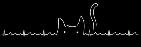 ____GilNaleih Profile Banner