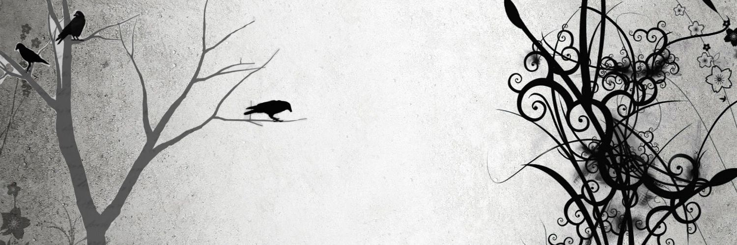 LimaLimonLT's profile banner image