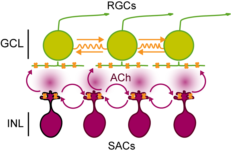 Christiane W. Voufo banner