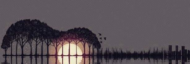 RockNGrapes's profile banner image