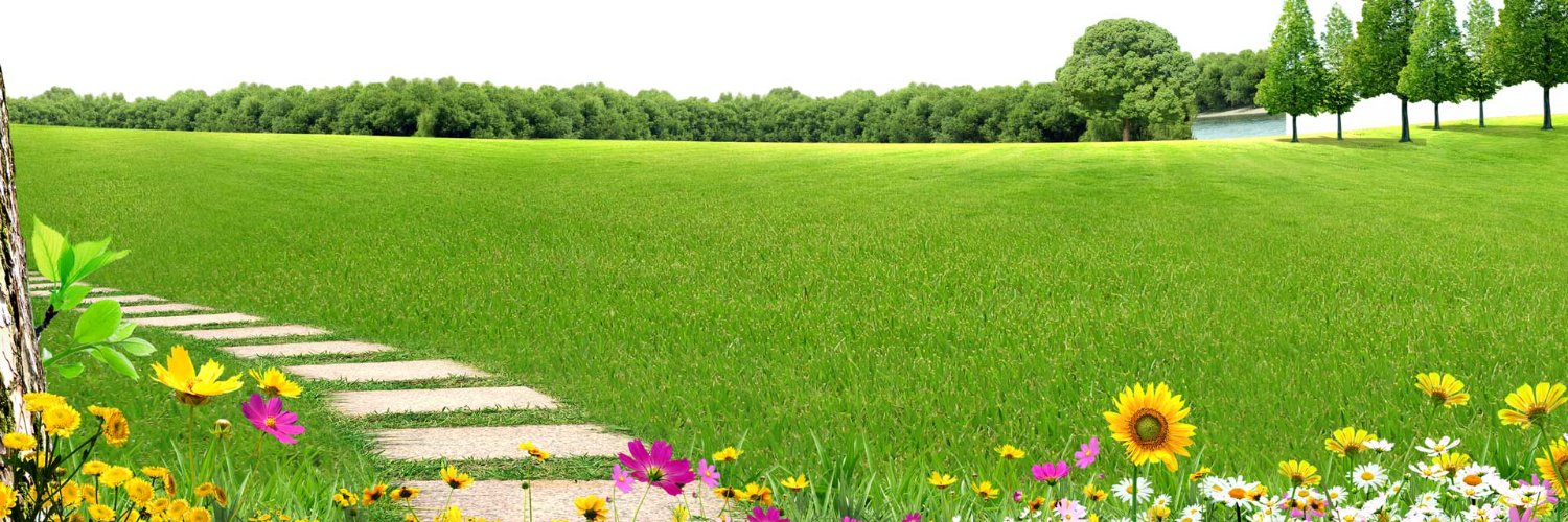 rayan jame| ETHGas ⛽ banner