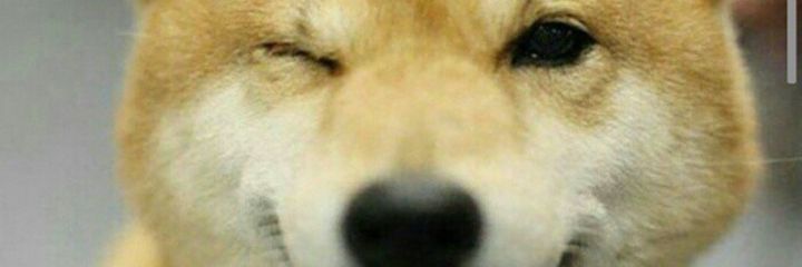 cosmodo's profile banner image