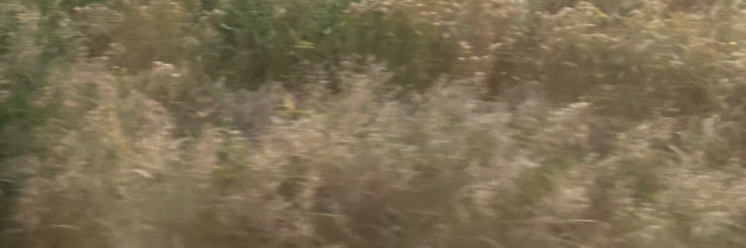NFTLove_eth's profile banner image