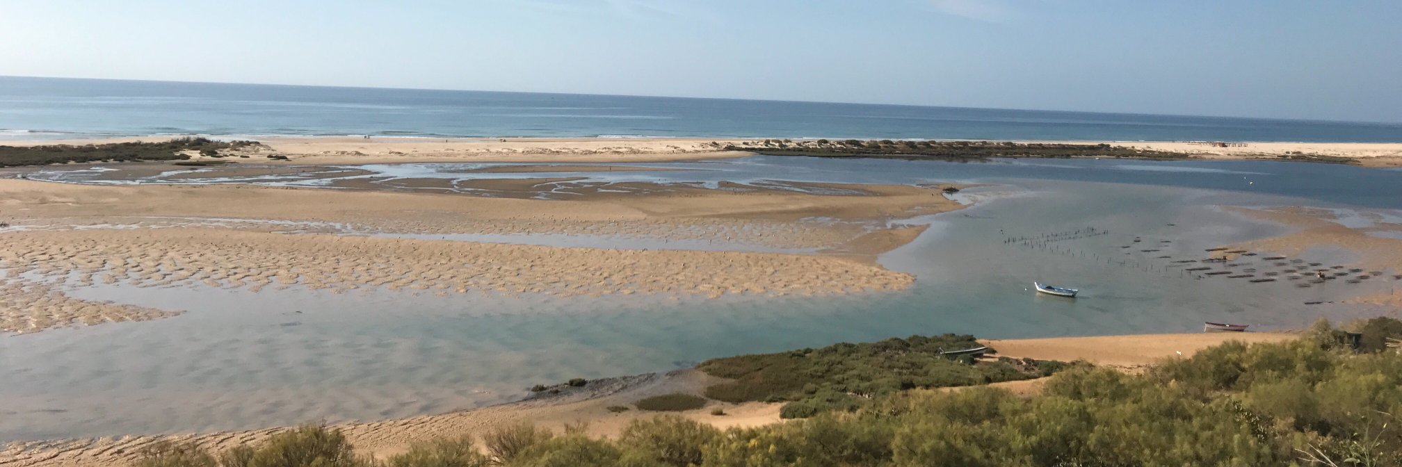 Catie Mitchell banner