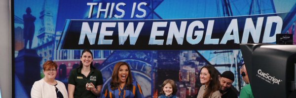 ThisisNEnbc Profile Banner