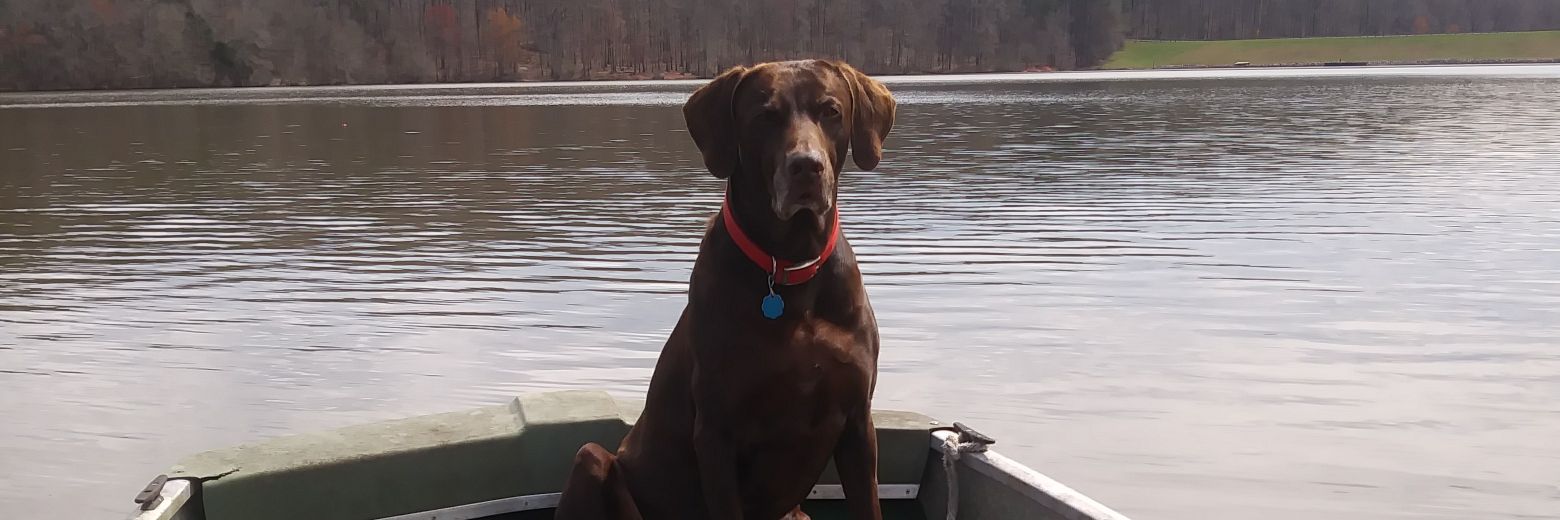 Dean Dean Butterbean banner