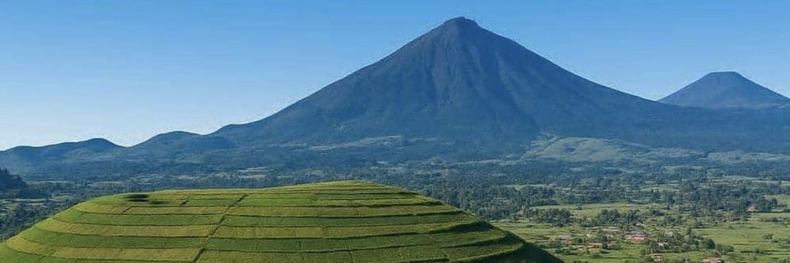 Innocent banner