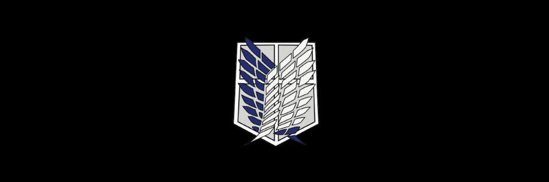 Levi banner