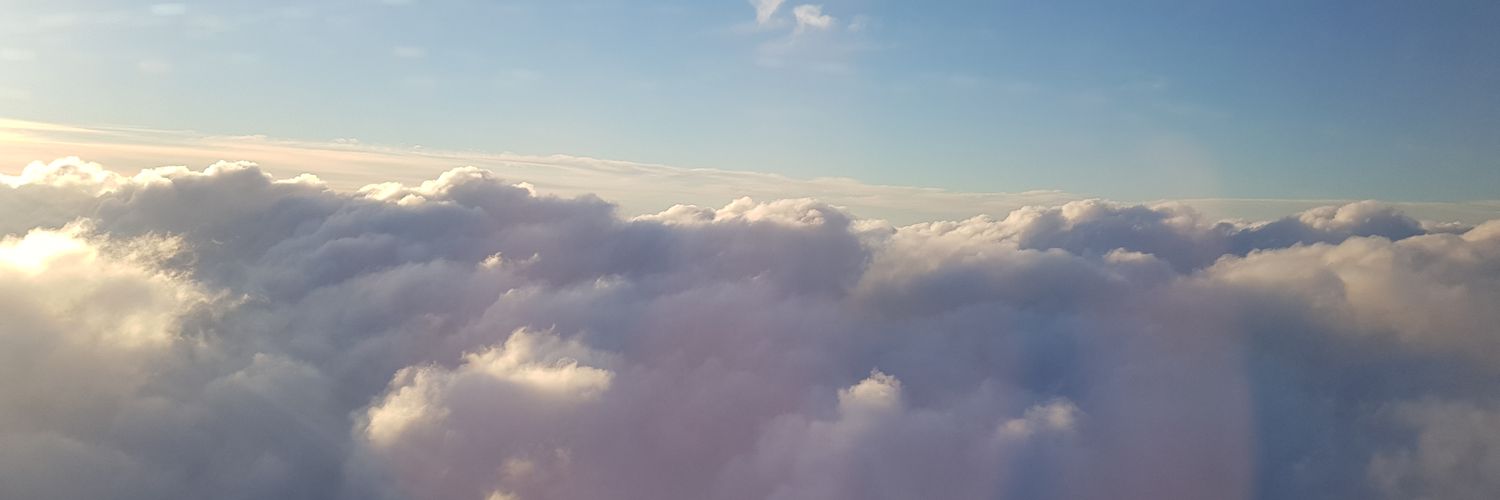 Gustavo Pacheco Bianchetti banner