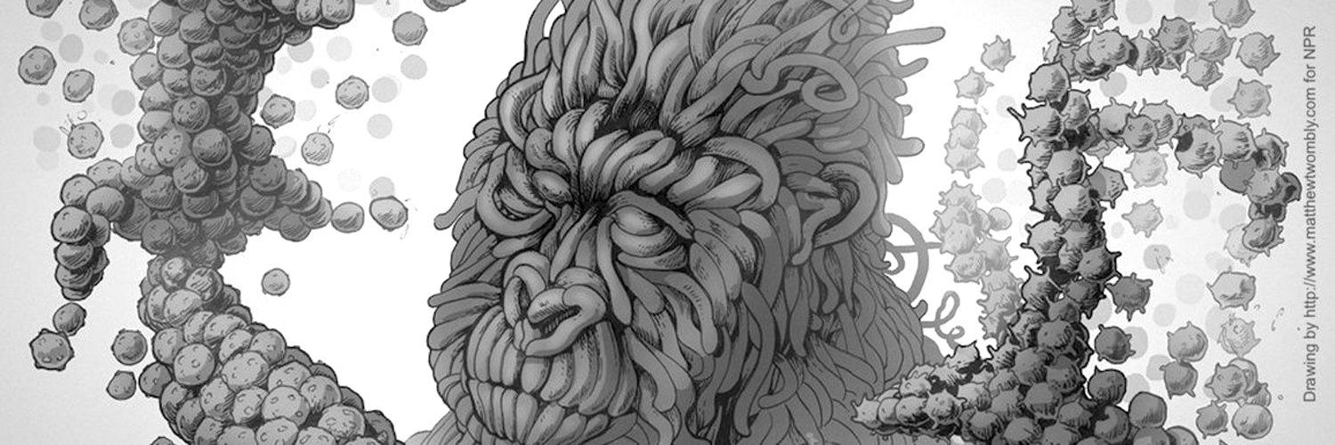 noamross's profile banner image