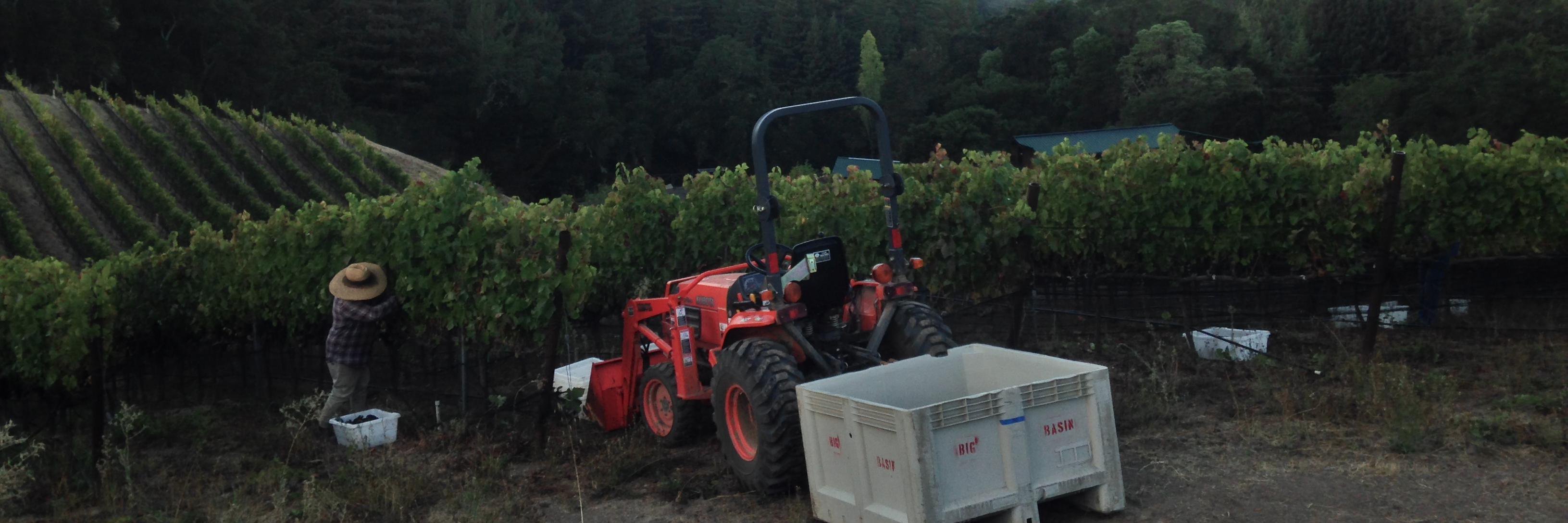 Big Basin Vineyards banner