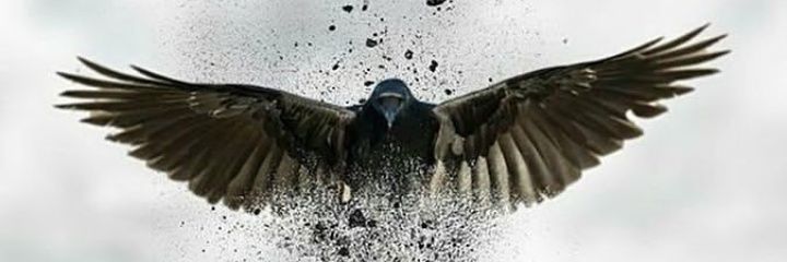Mahdymahanpoor4's profile banner image
