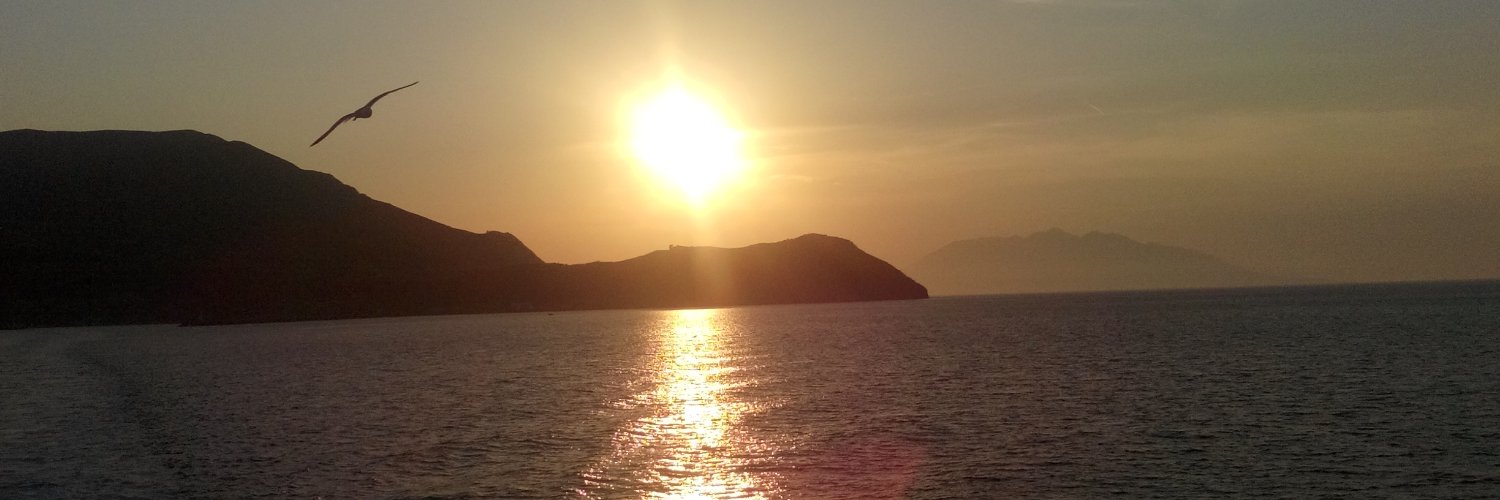 muratozdal1's profile banner image