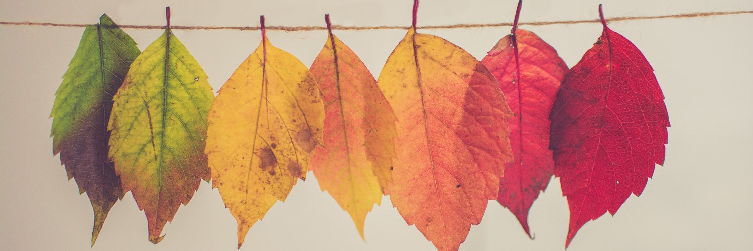miryambb1's profile banner image