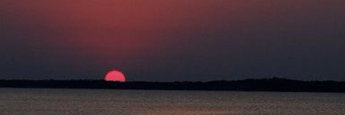 Alshamry_01's profile banner image