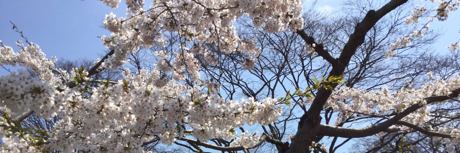 さんたぽ@よく眠るし手はよく洗う😪 banner