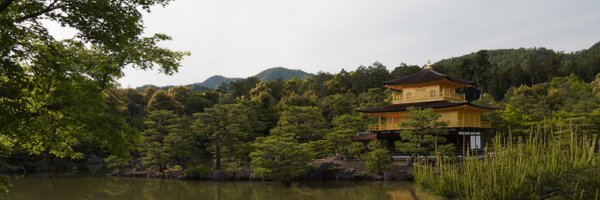 petalwave Profile Banner