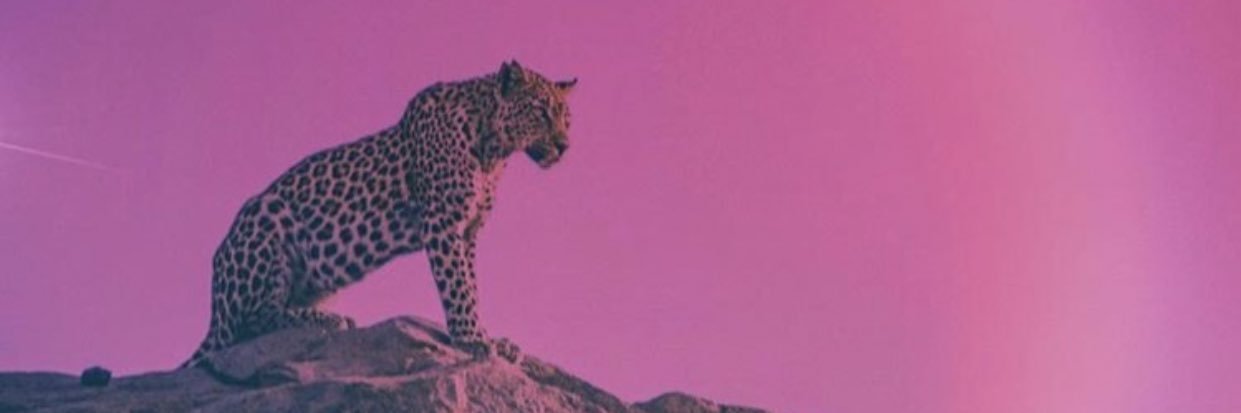 Edwwwarrd's profile banner image