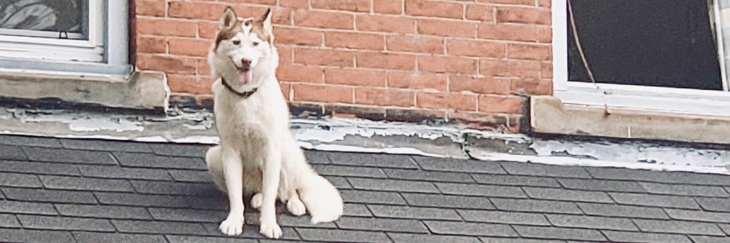 TumbyWallop's profile banner image