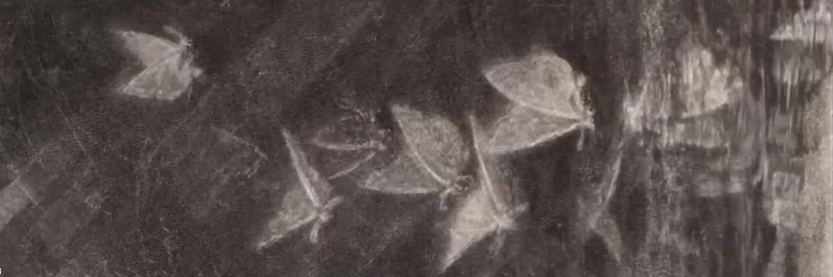PAINTIMEGRIT's profile banner image