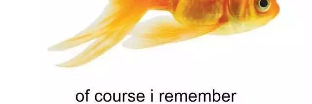 julinhaqui's profile banner image