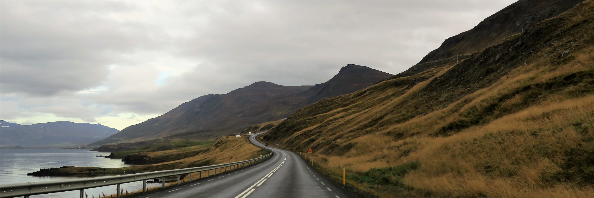 Maddie Cassidy 💡 banner