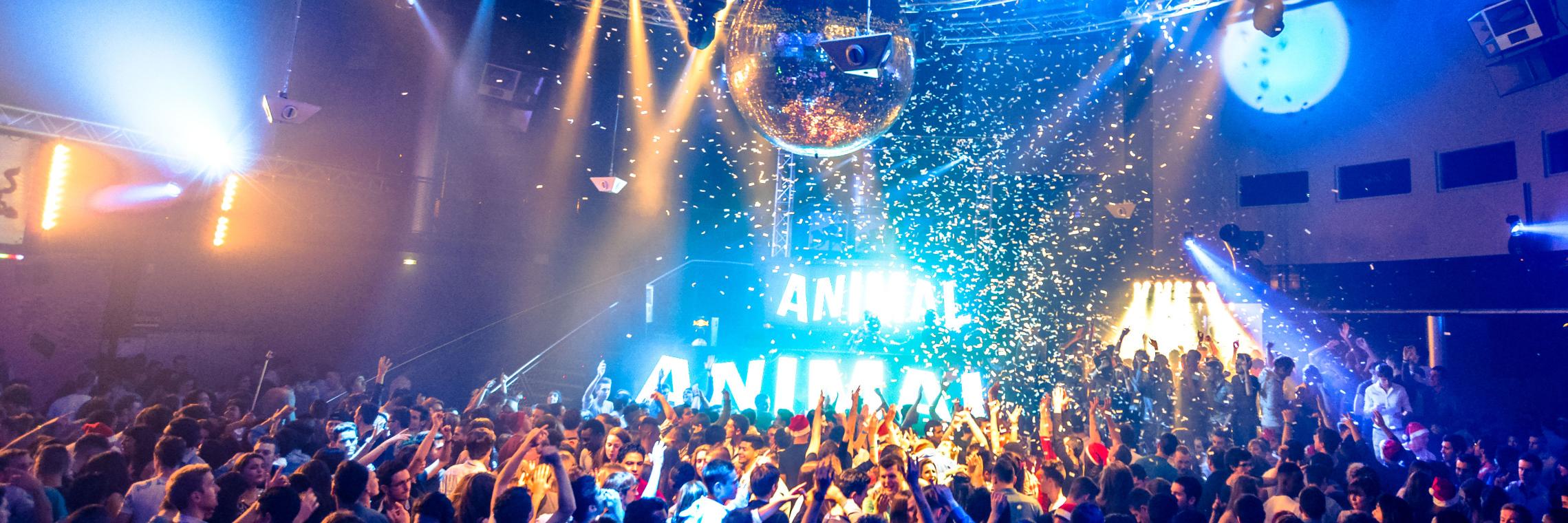 bboxdiscotheque's profile banner image