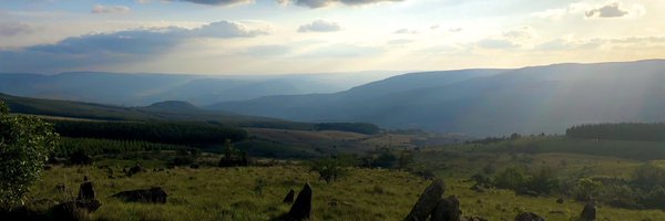 RoseAMarks1 Profile Banner