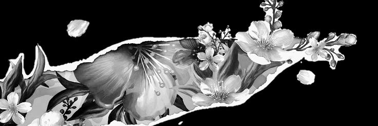𝒂𝒍𝒚 ࣪ ִֶָ☾. banner