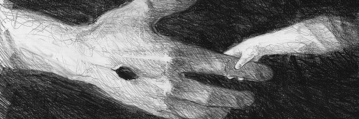 araulaaaa's profile banner image